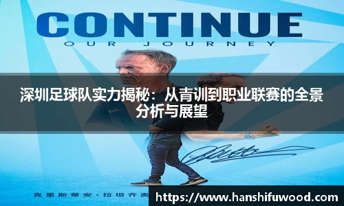 深圳足球队实力揭秘：从青训到职业联赛的全景分析与展望
